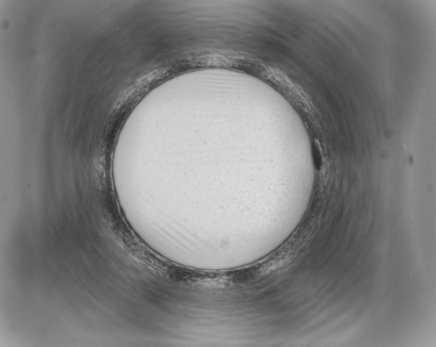 X0000085760306200704131745