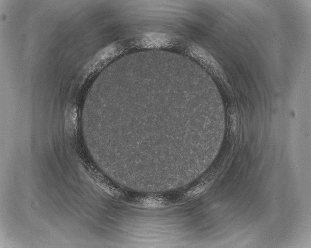 X0000085760308200704131745