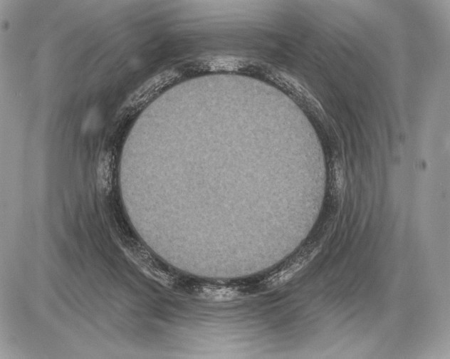 X0000085760311200704131744