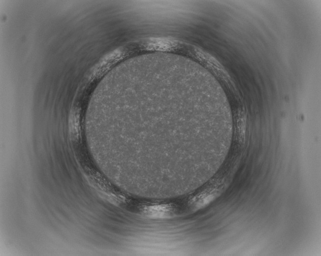 X0000085760312200704131744