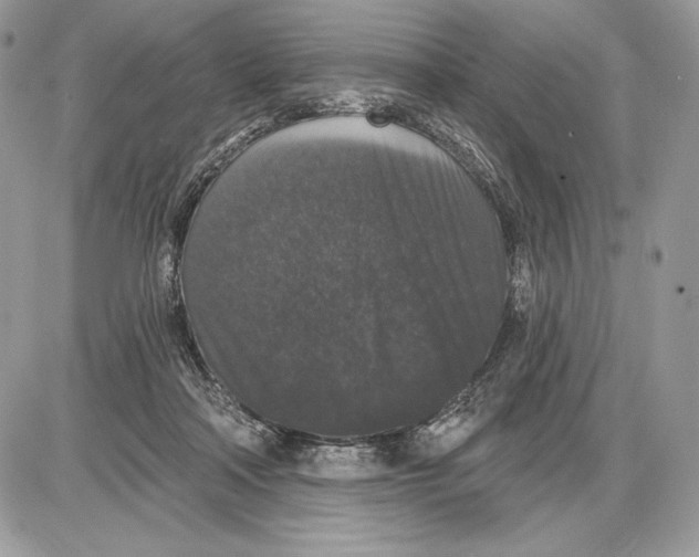 X0000085760314200704131744