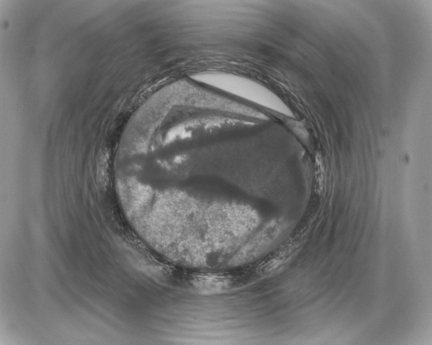X0000085760319200704131744