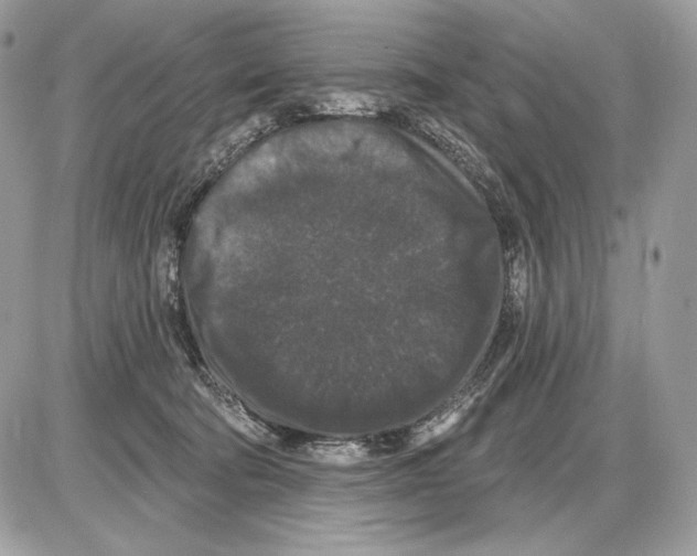 X0000085760322200704131744