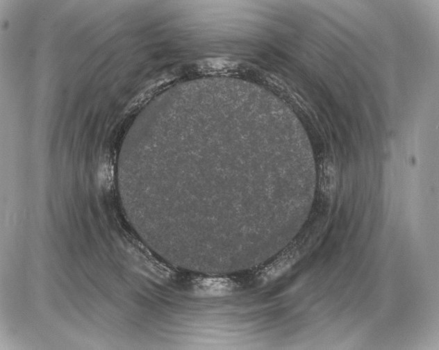 X0000085760324200704131744