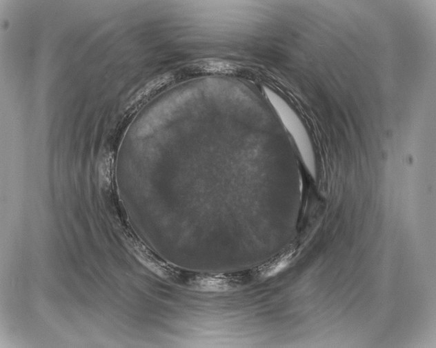 X0000085760325200704131744