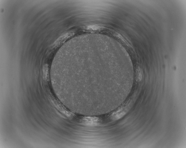 X0000085760328200704131744
