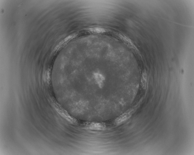 X0000085760330200704131744