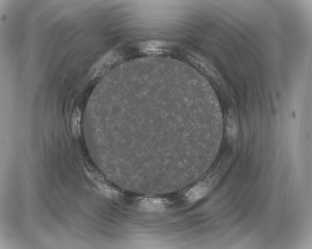 X0000085760332200704131744