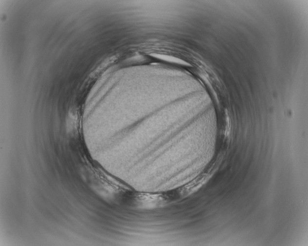 X0000085760333200704131744