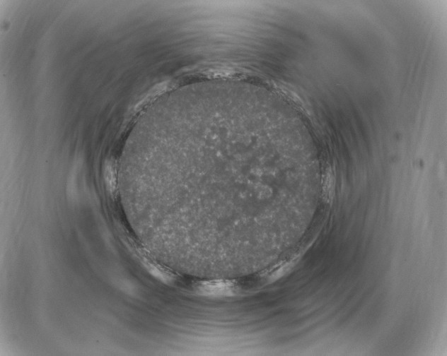 X0000085760335200704131744