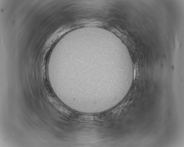 X0000085760339200704131743