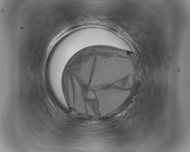 X0000085760344200704131743