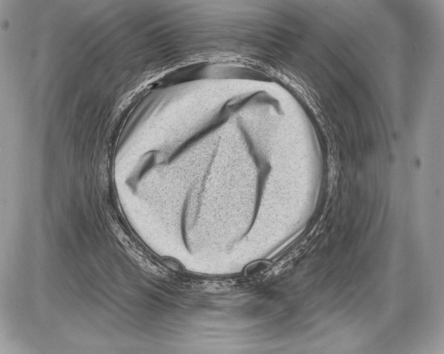 X0000085760345200704131743