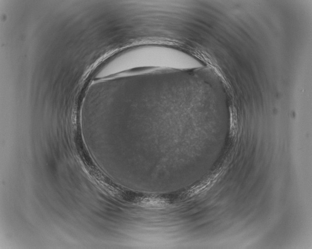 X0000085760348200704131743