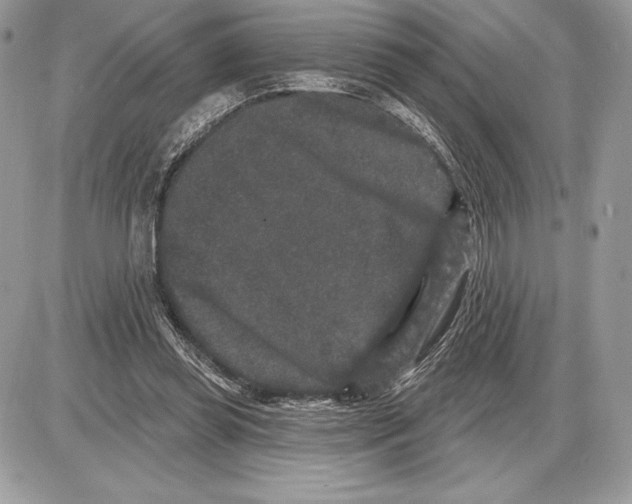 X0000085760349200704131743