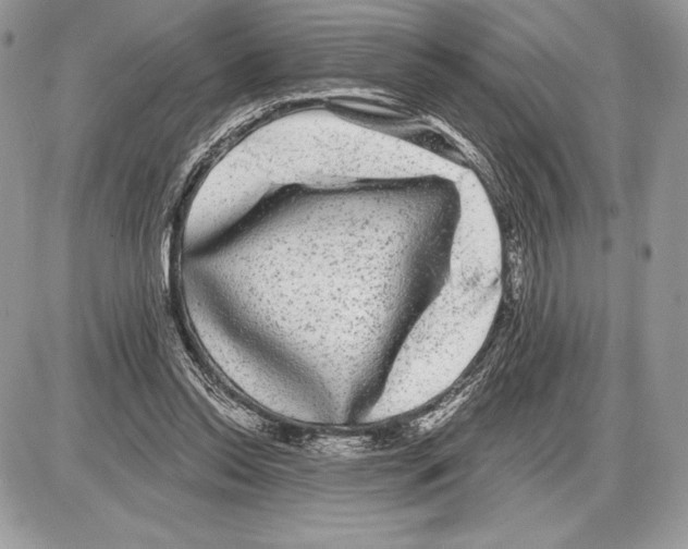 X0000085760350200704131743