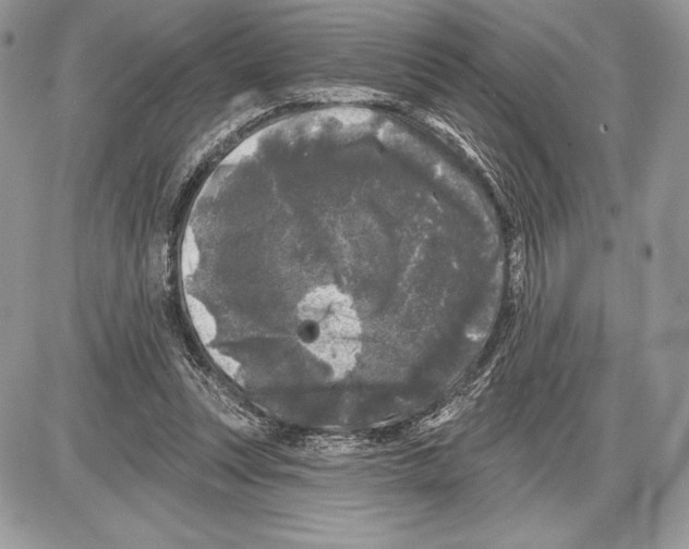 X0000085760351200704131744
