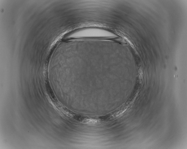 X0000085760352200704131744