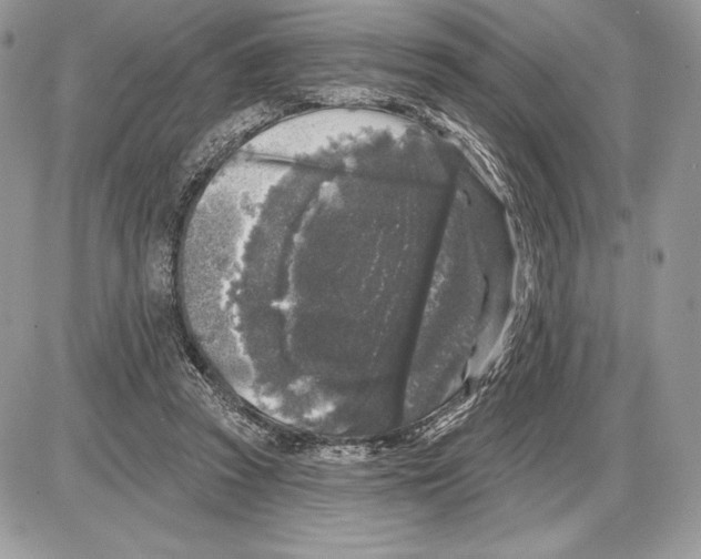 X0000085760353200704131744