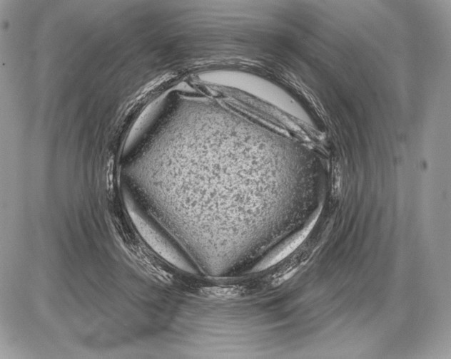 X0000085760356200704131744