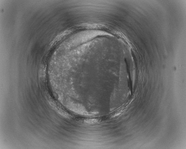 X0000085760357200704131744