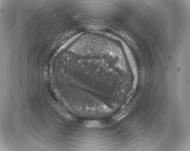X0000085760361200704131744