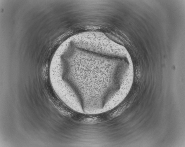 X0000085760364200704131744