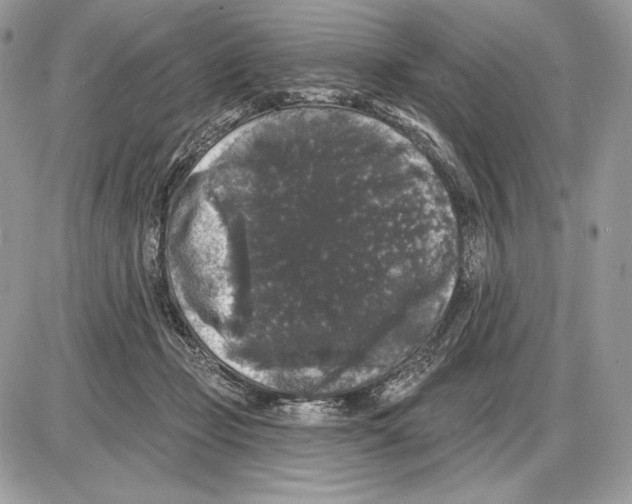 X0000085760365200704131744