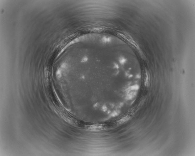 X0000085760366200704131744