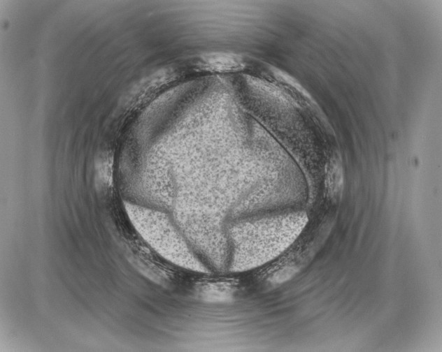 X0000085760368200704131744