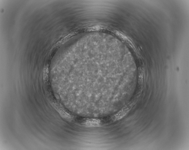 X0000085760369200704131744
