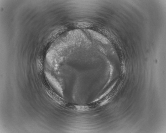 X0000085760371200704131744