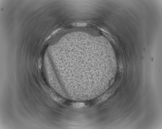 X0000085760374200704131744