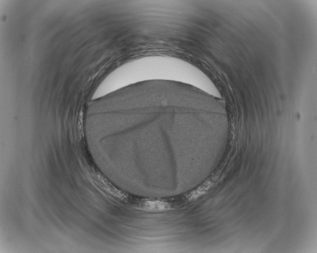 X0000085760376200704131744
