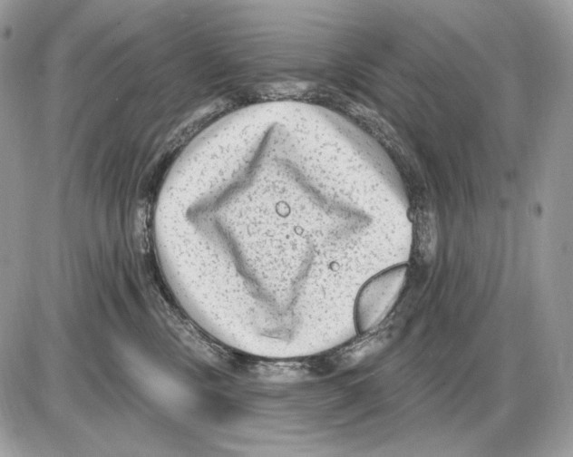 X0000085760378200704131744
