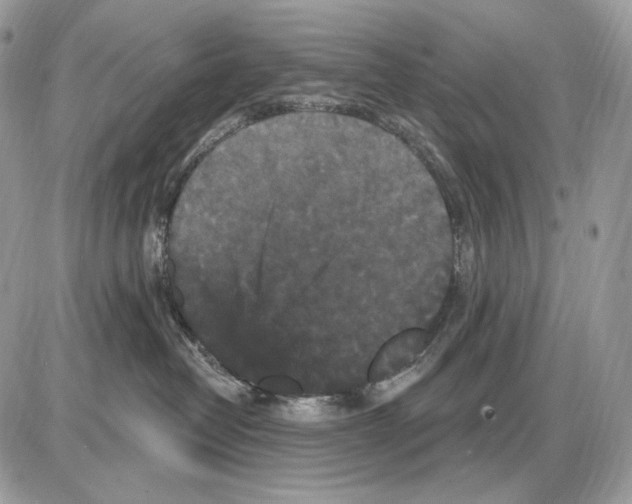 X0000085760382200704131744