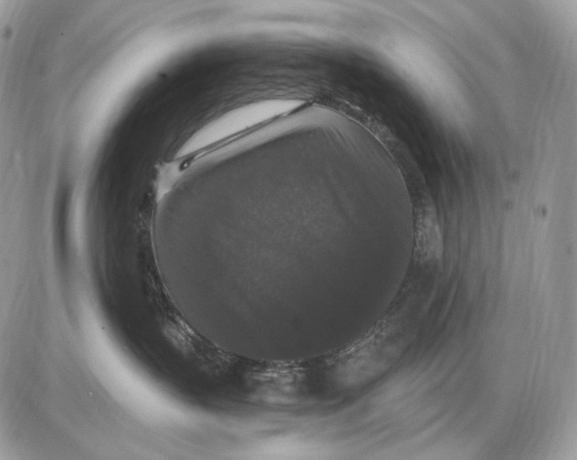 X0000085760383200704131744