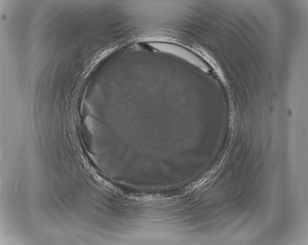 X0000085760385200704131743