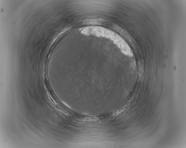 X0000085760386200704131743