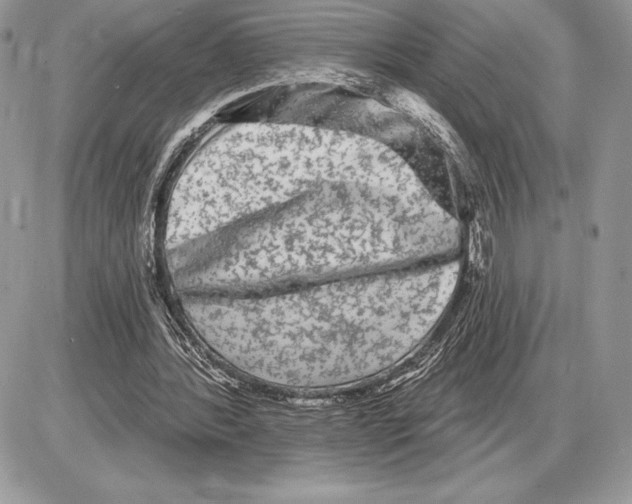 X0000085760388200704131743