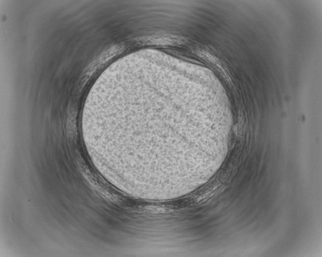 X0000085760394200704131743
