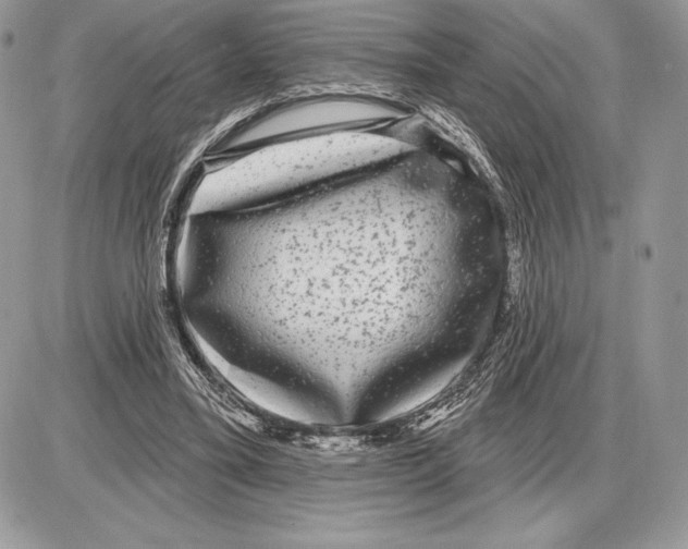 X0000085760395200704131743