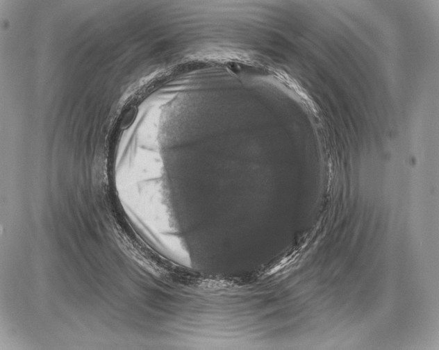 X0000085760399200704131743
