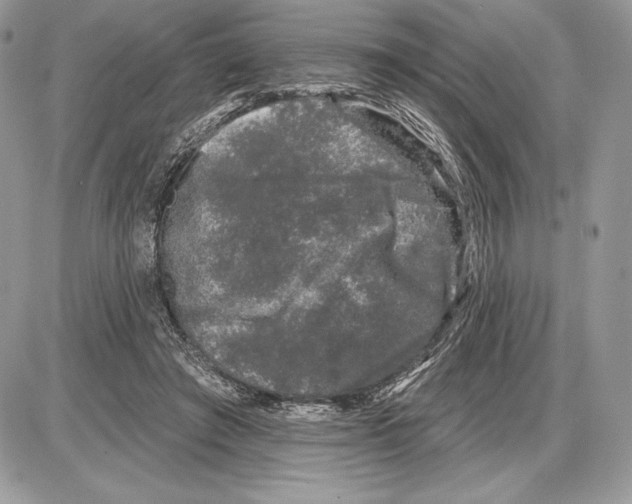 X0000085760401200704131743
