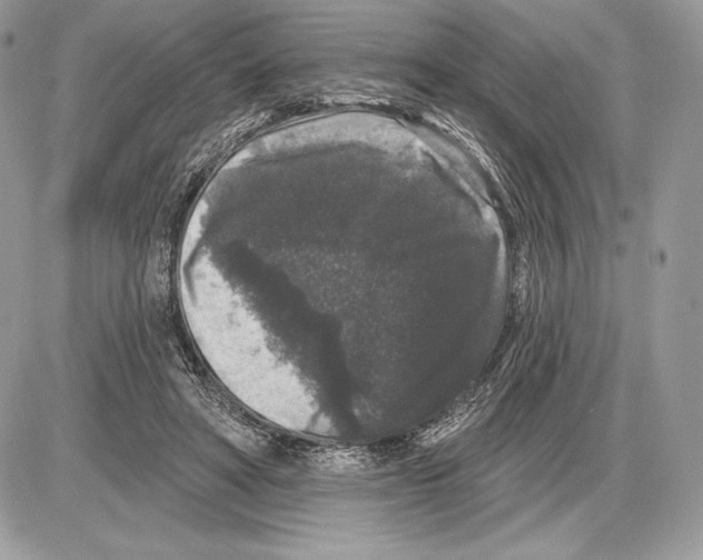 X0000085760402200704131743
