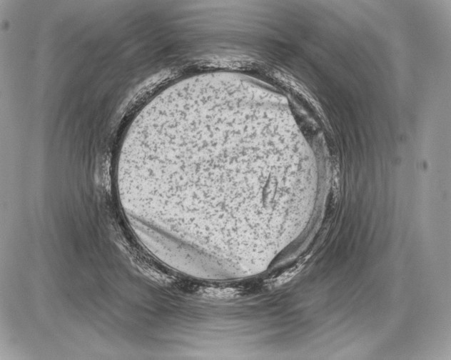 X0000085760403200704131743