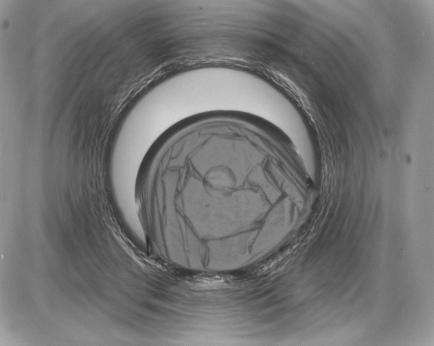 X0000085760405200704131743