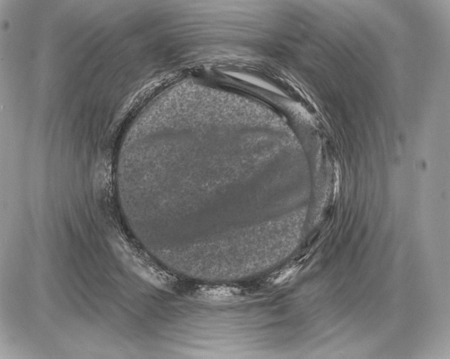 X0000085760407200704131743