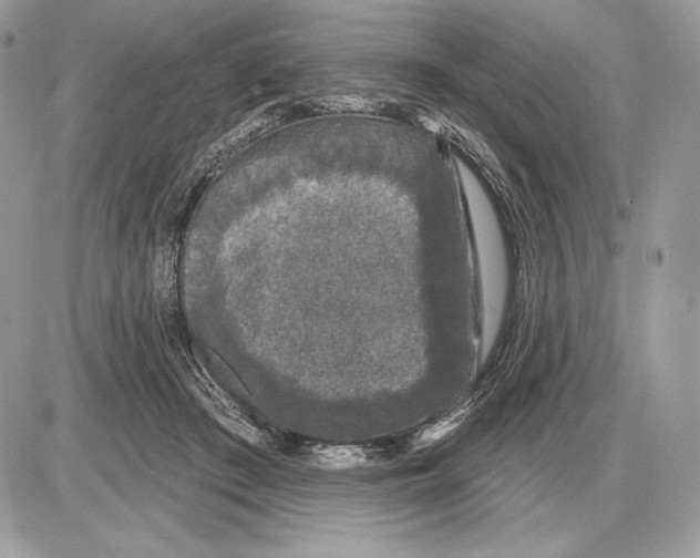 X0000085760409200704131743