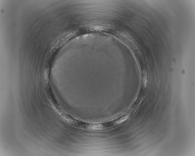 X0000085760410200704131743
